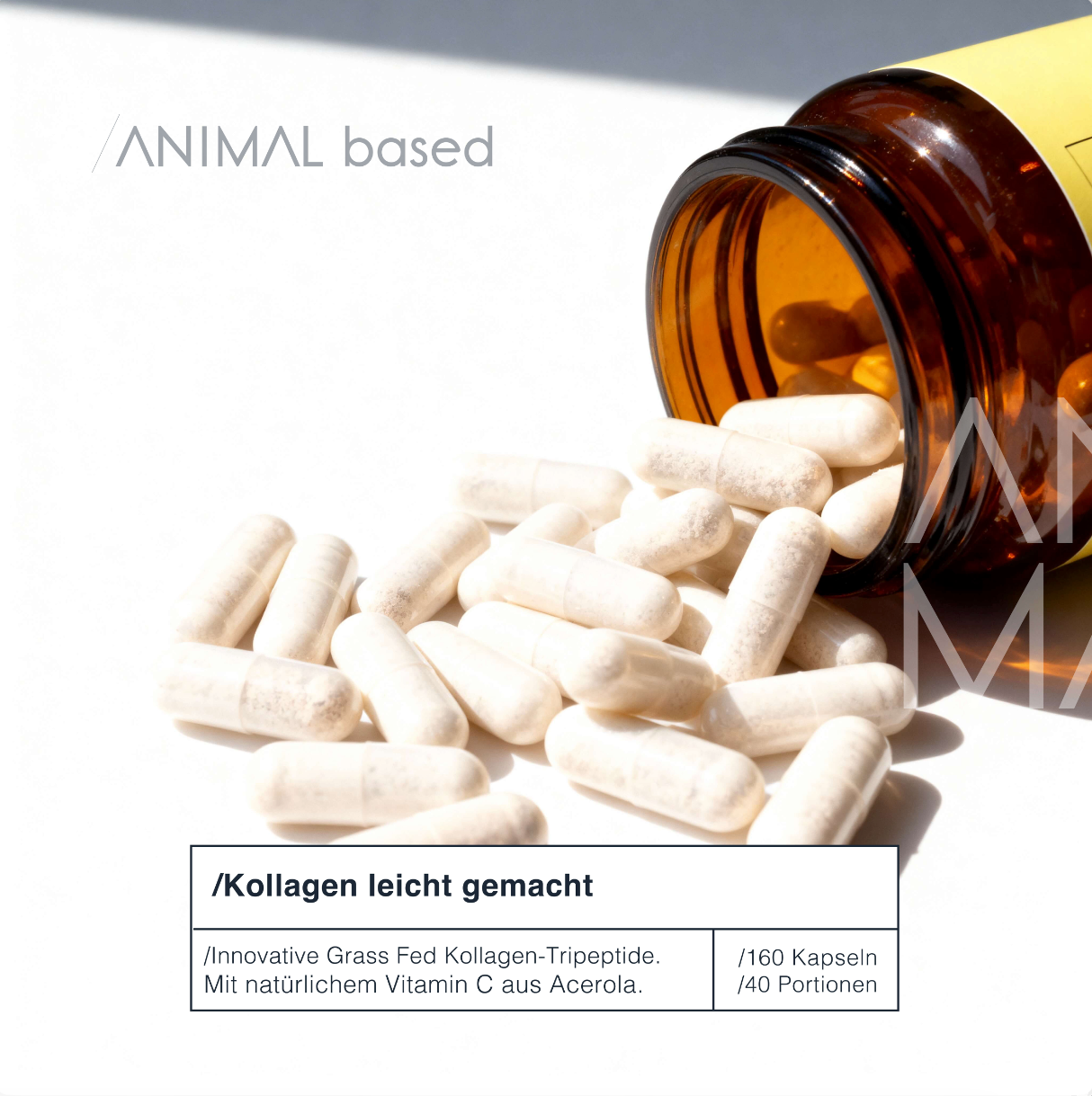 Close-up of a single green leaf against a white background.