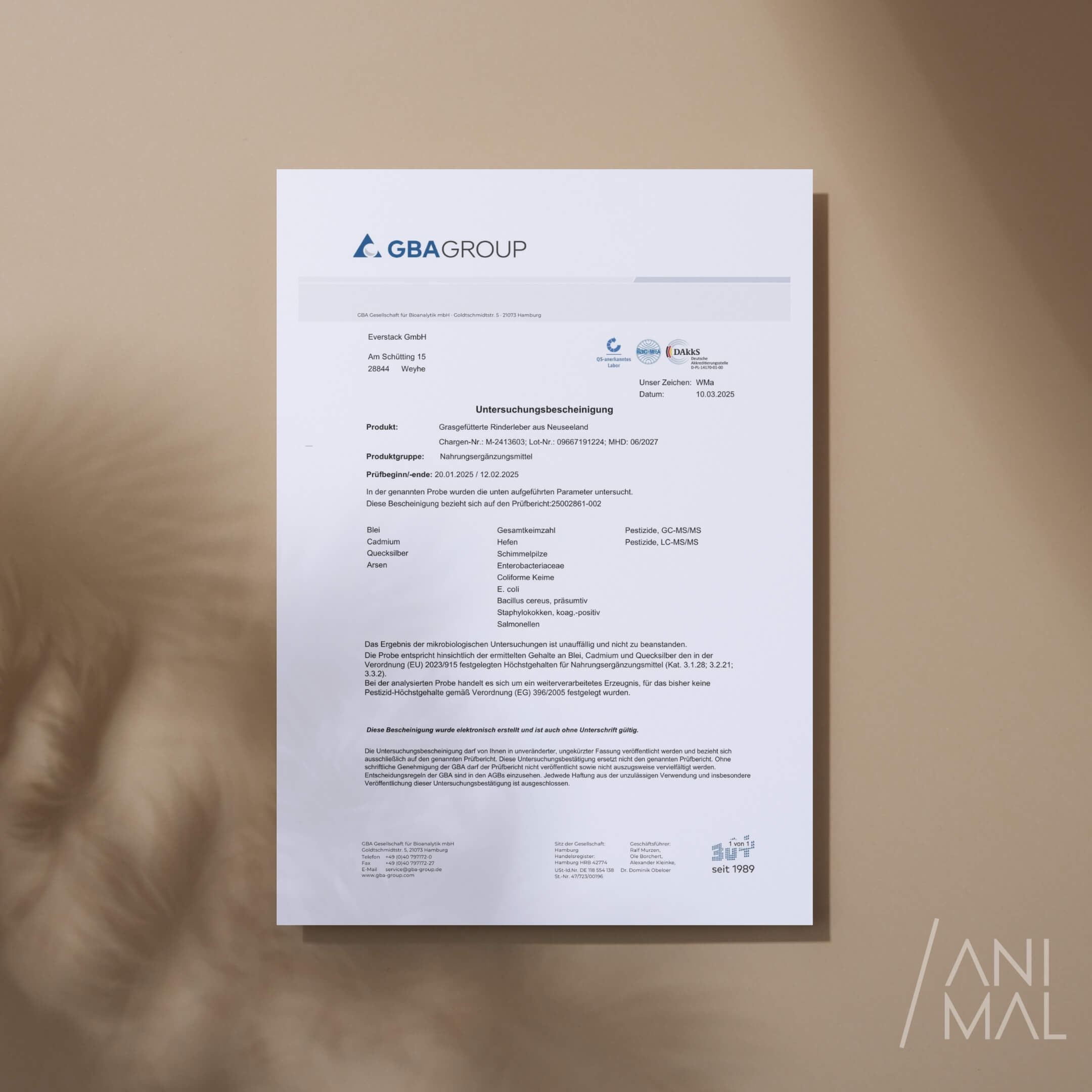 Close-up of a single green leaf against a white background.