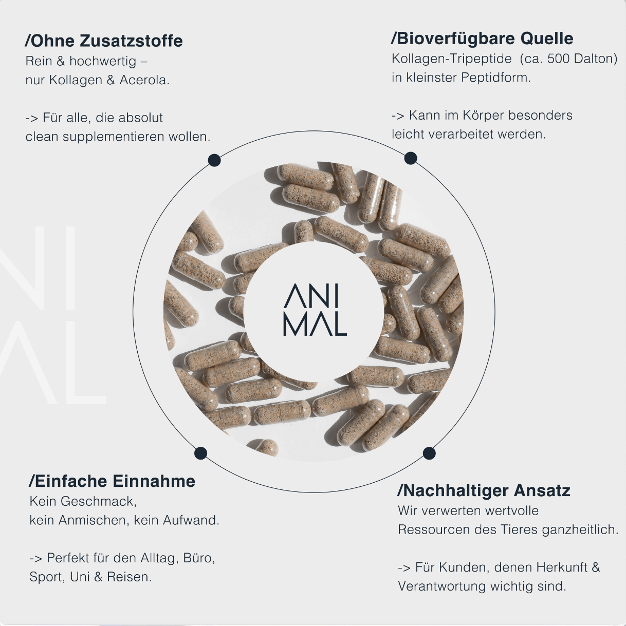 Close-up of a single green leaf against a white background.