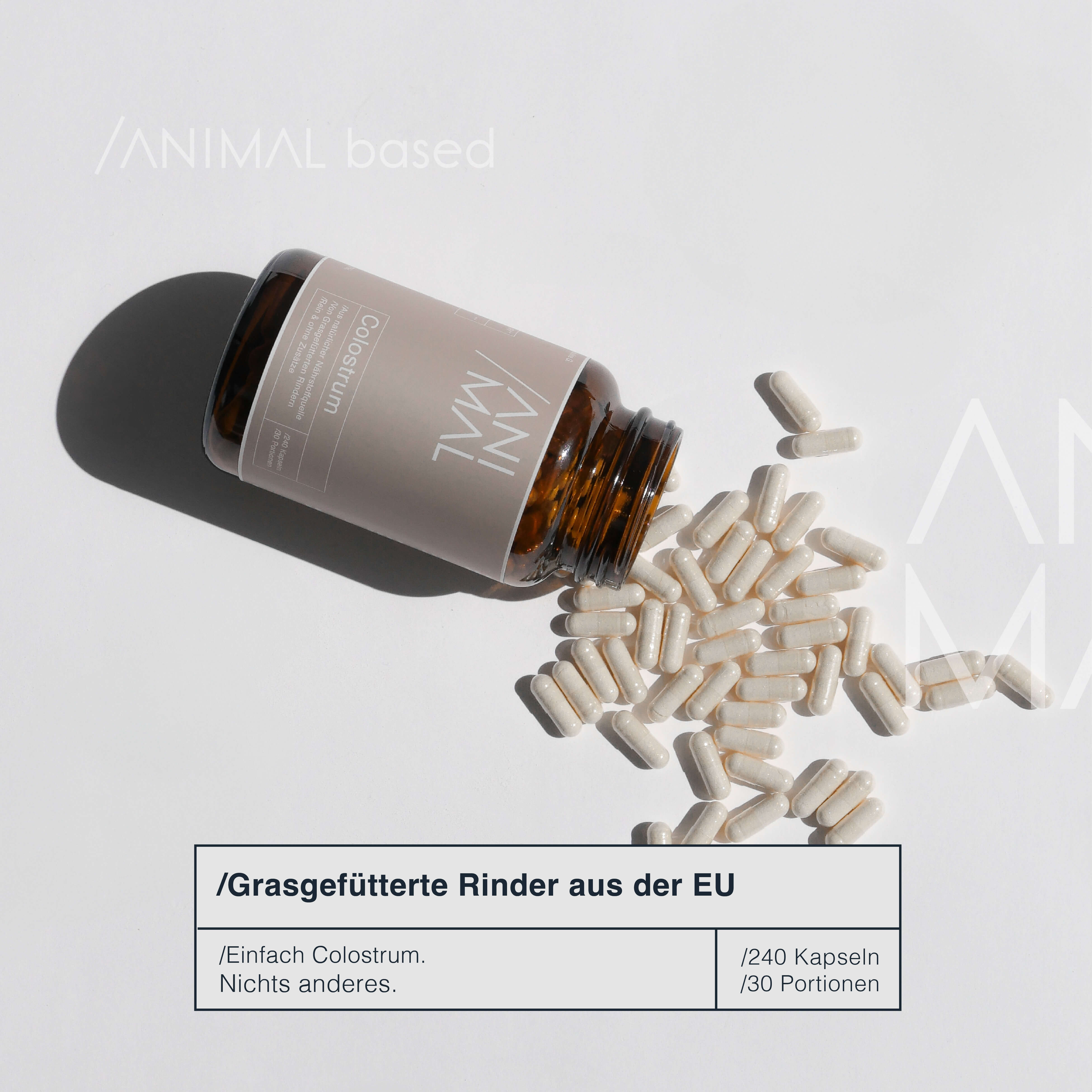 Close-up of a single green leaf against a white background.