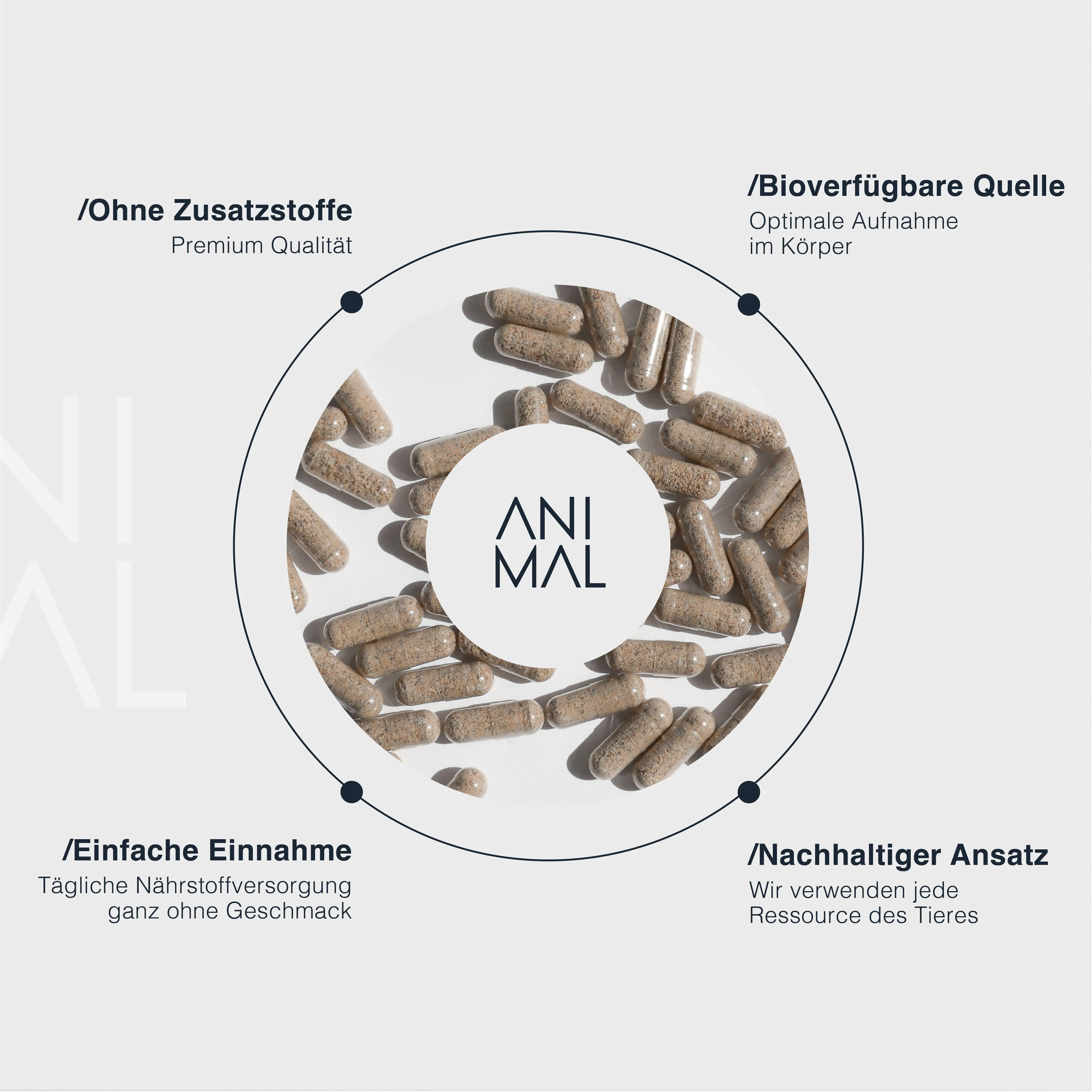 Rinderleber Kapseln - Grass Fed Beef Liver EVERSTACK®