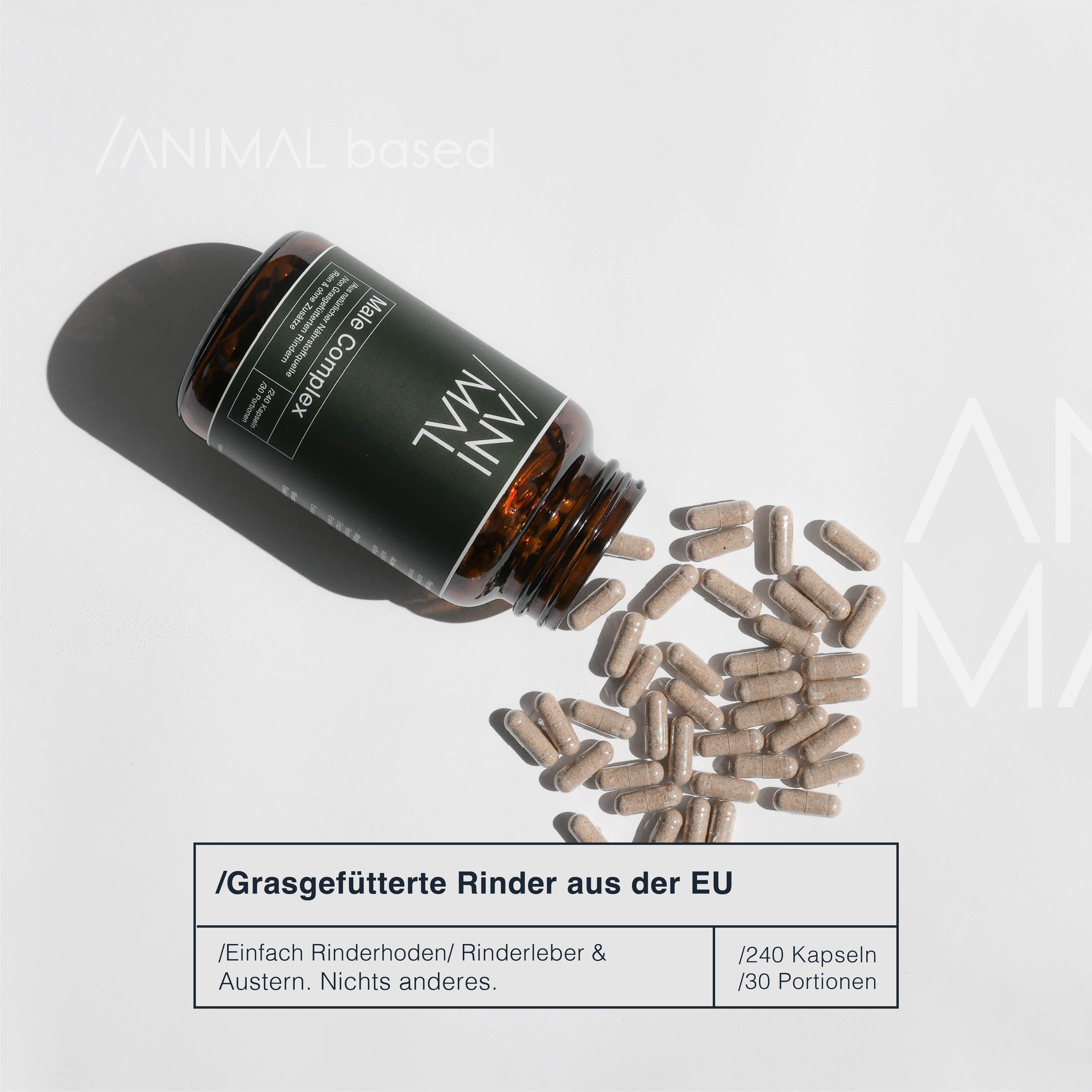 Close-up of a single green leaf against a white background.