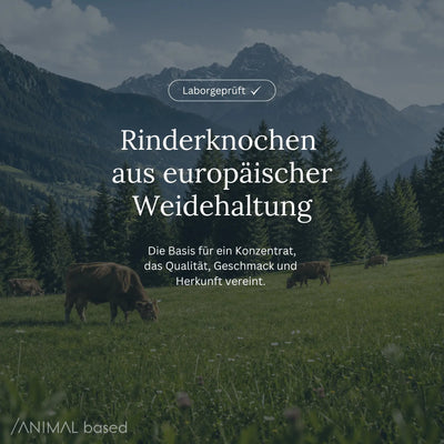 Animal Based Knochenbrühe-Konzentrat aus Rinderknochen europäischer Weidehaltung.