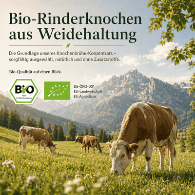Animal Based Knochenbrühe-Konzentrat als warmes herzhaftes Ritual für den Alltag.