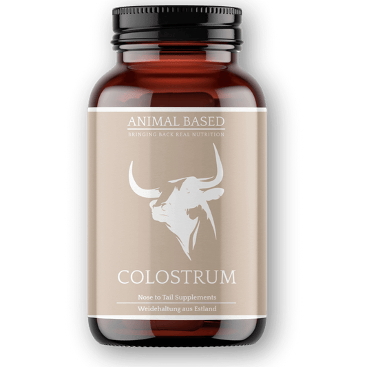 Colostrum vom Weiderind