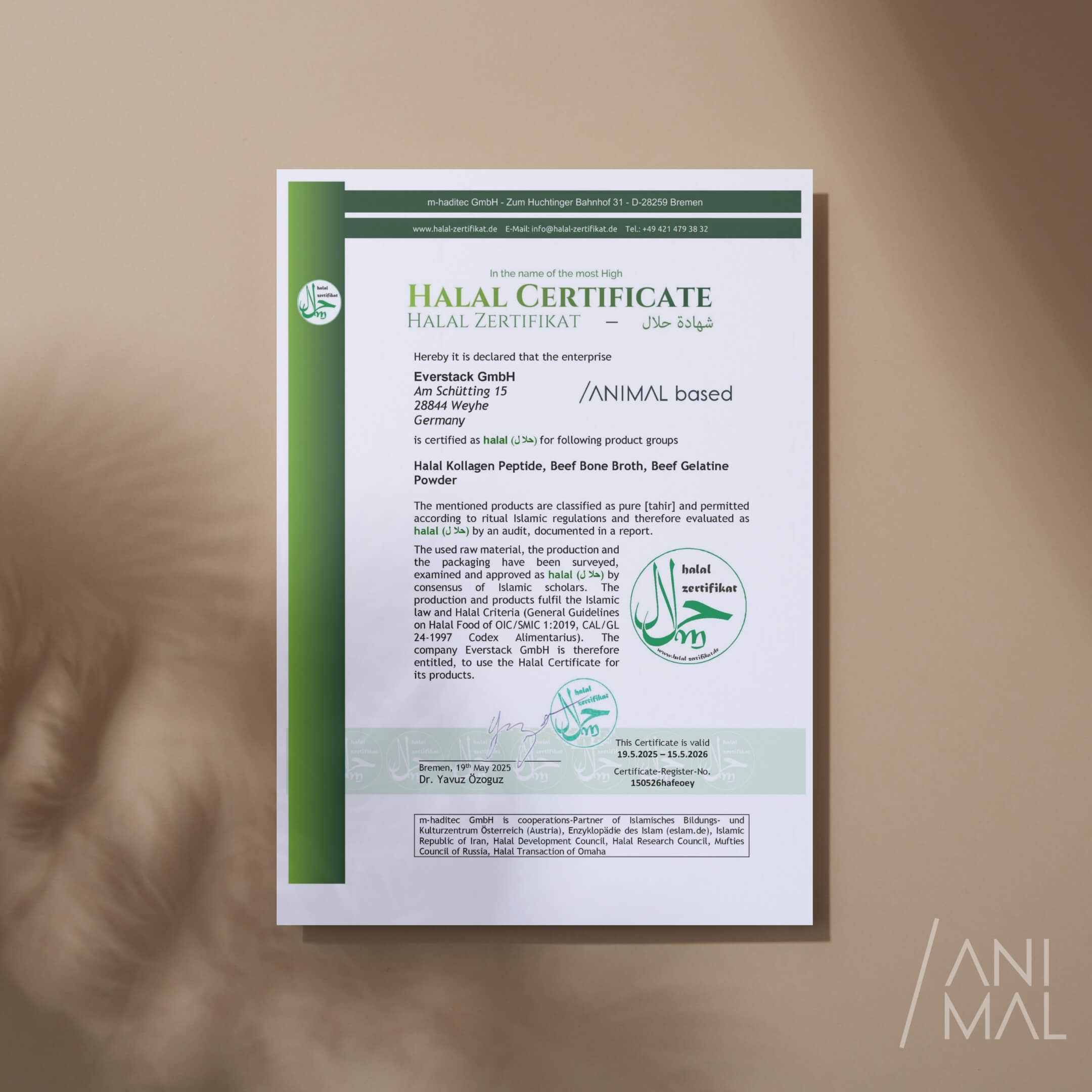 Halal Kollagen Hydrolysat